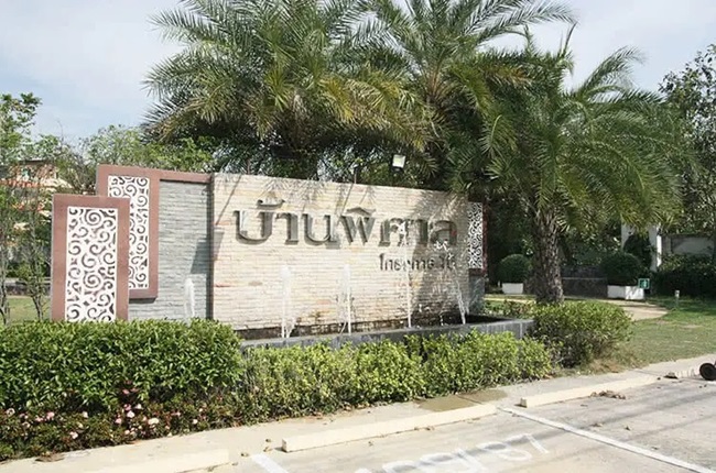 banner-project-details